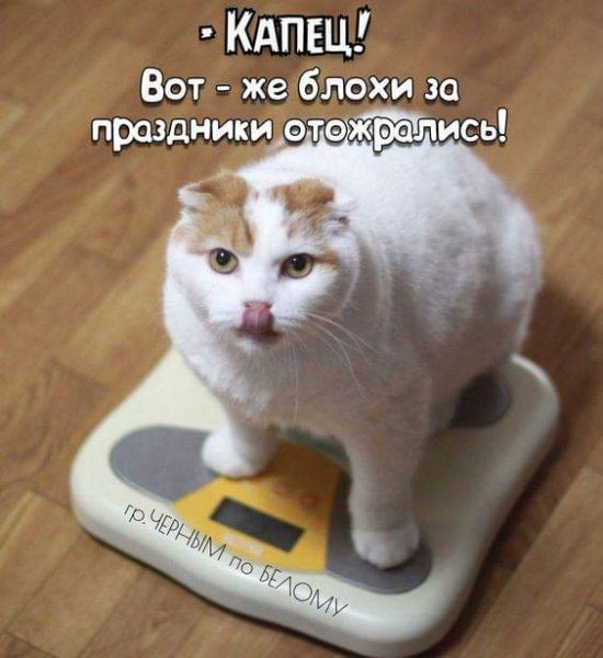 Капец