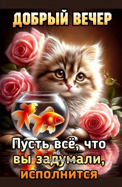 B08e6bc45e25b6409e1ee600a7049f11