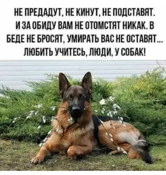 Верные слова!