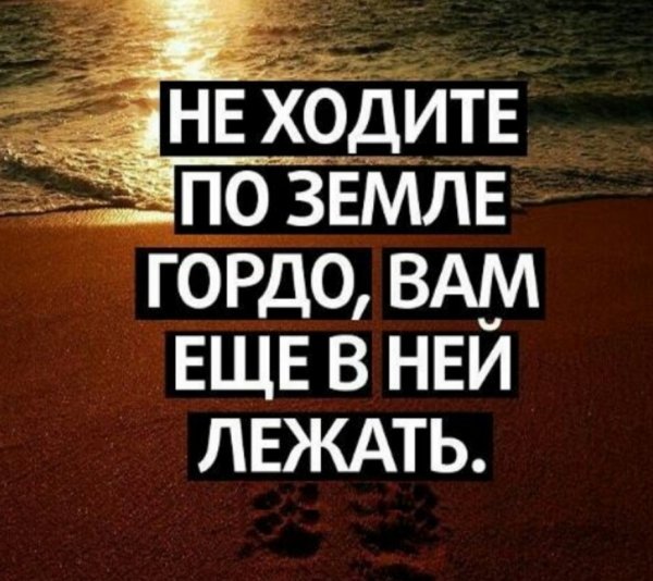 Гордость