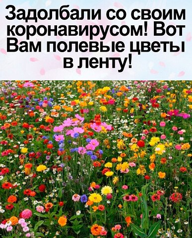 image (3) (16)