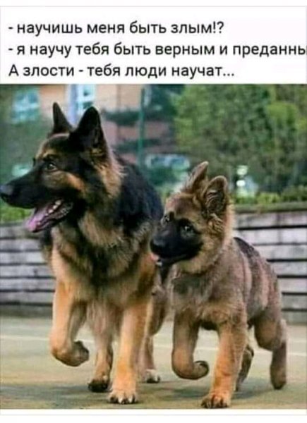 FB IMG 15891893857235001