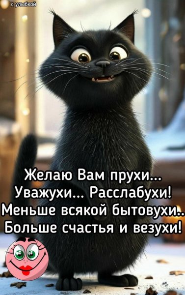picture_396036835