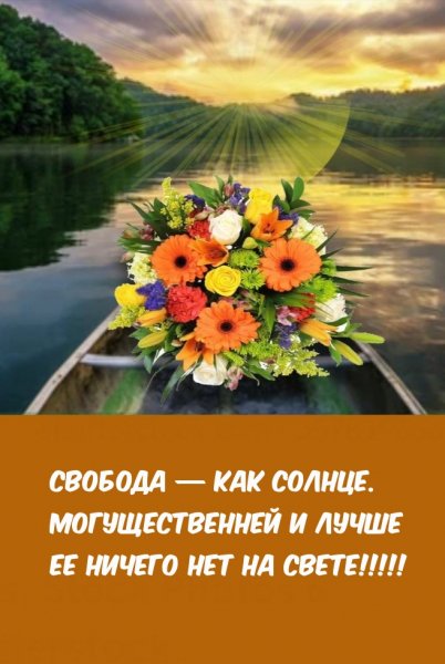 Dobrogoutra ru 25586