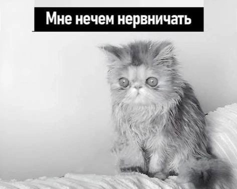 Нервы
