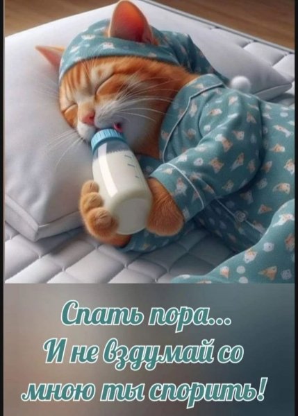 IMG 20260720 004653 347
