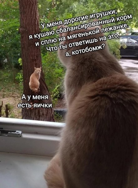 IMG 20221214 080050 529