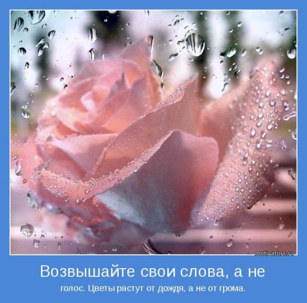 novye-motivatory-20