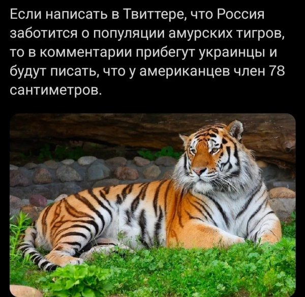 IMG 20260429 211107