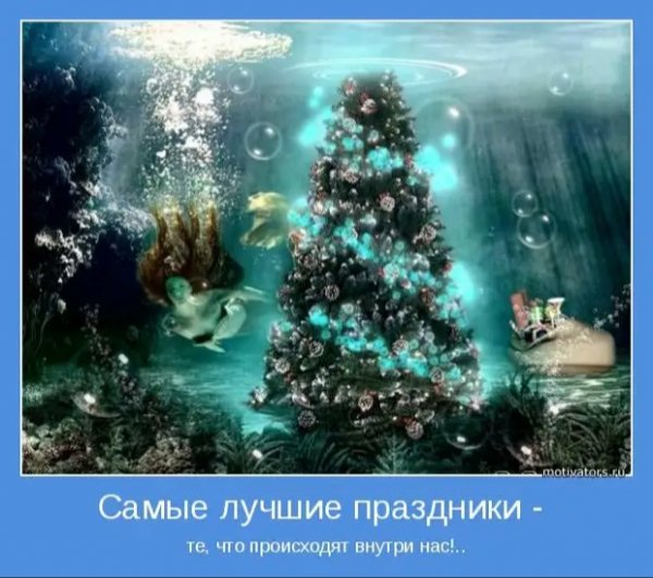 picture_286094499