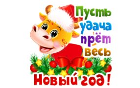 IMG 20201218 212329