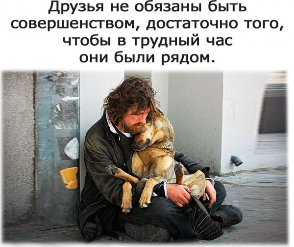 Верные слова!