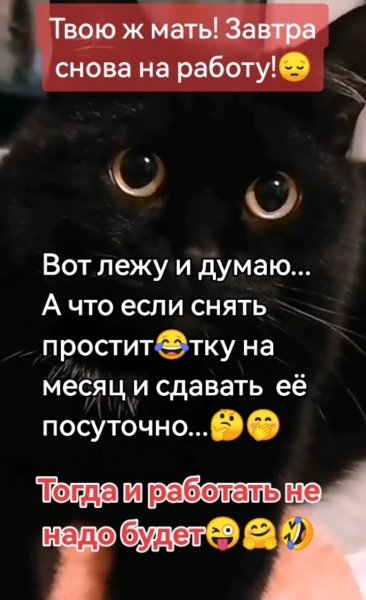 IMG 20250411 080239