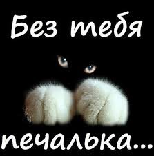 Images(4)