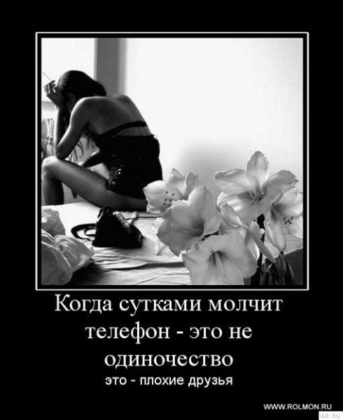 Demotivatory (89)