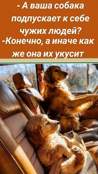 Опаньки!