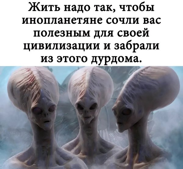 IMG 20260829 193642