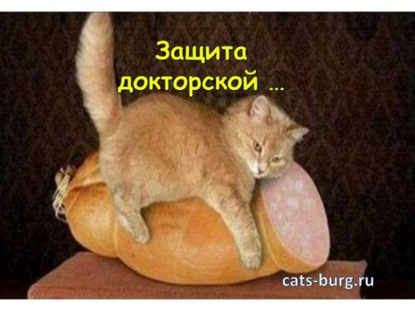 Защита докторской