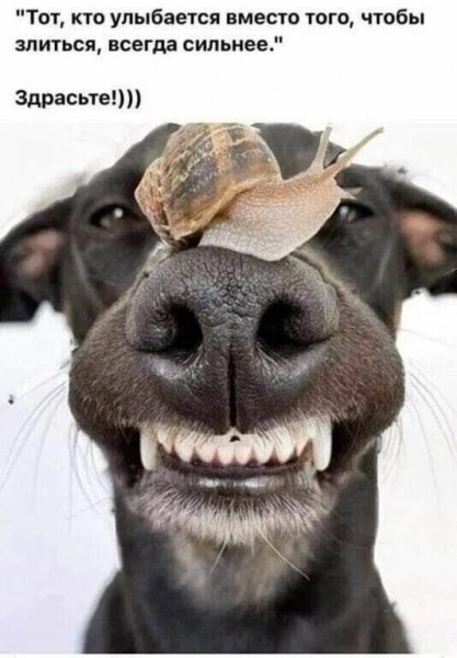 Здрасьте!)))