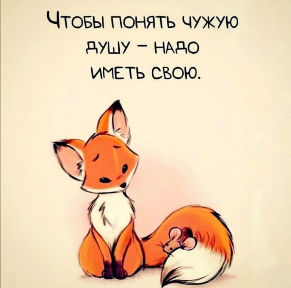 IMG 20250318 195207 506