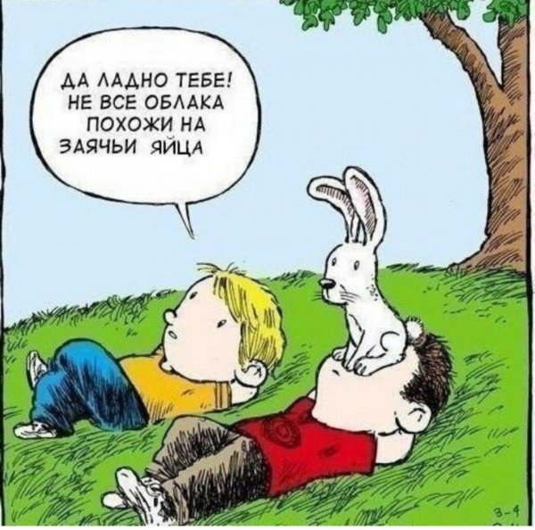 img(24)