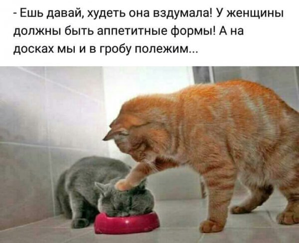 IMG 20240817 233921