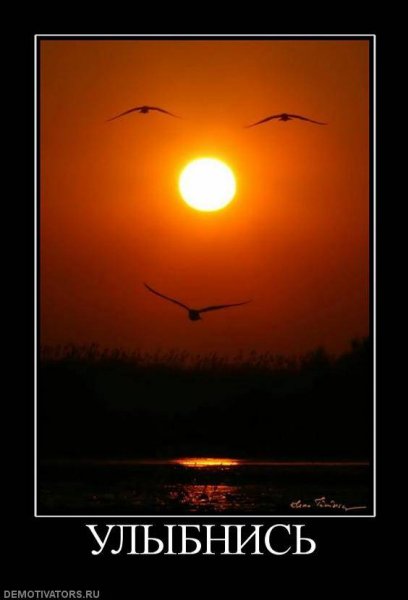Demotivator (14)