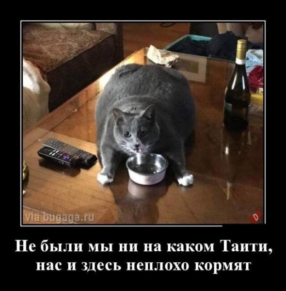 02-14-mixnews-13
