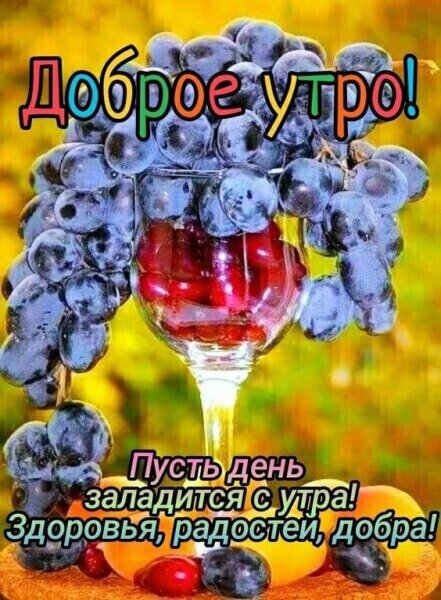 IMG-20210919-WA0000