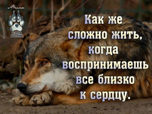 picture_215791312