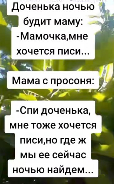 IMG 20260619 103557
