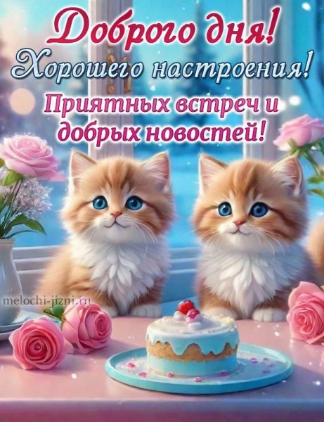IMG 20251222 123009 469