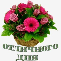 отличного дня