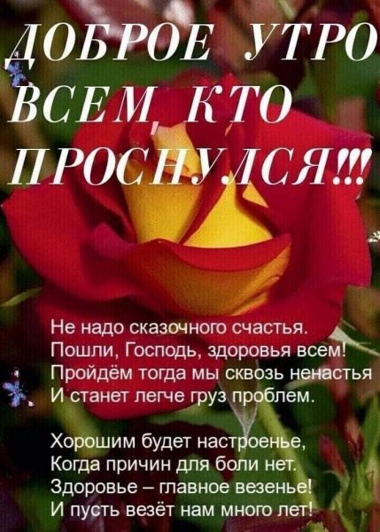 e50d6d8086339b40f44fcd7e96796ca9