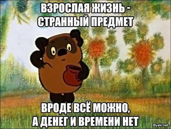 Взрослая жизнь
