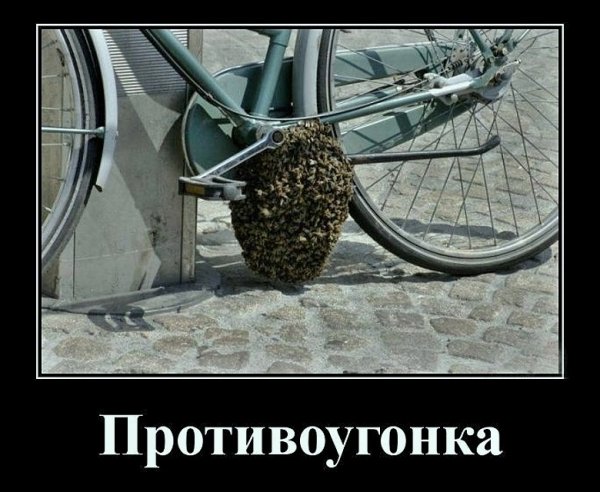 U54xFww62XVTGbDyXK0B9ALXLubiXuMMfkHDoHKTQb Dmc9tnS3 GkeURwLb