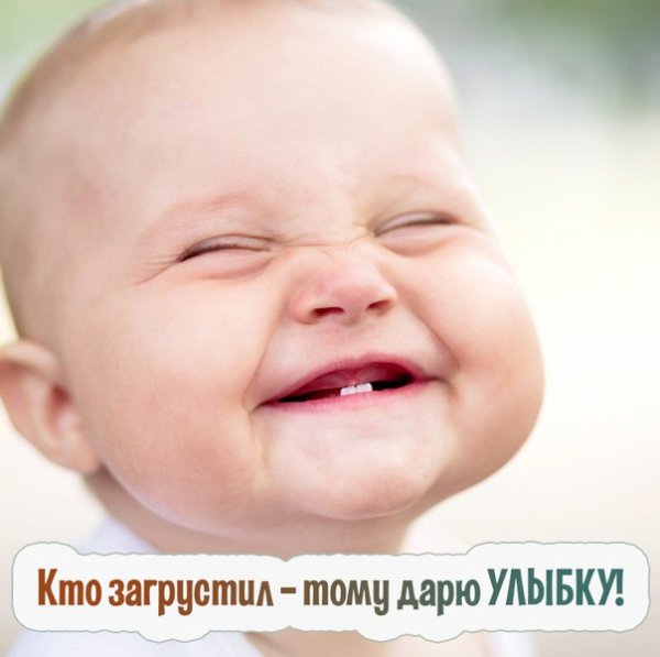 picture_196544157