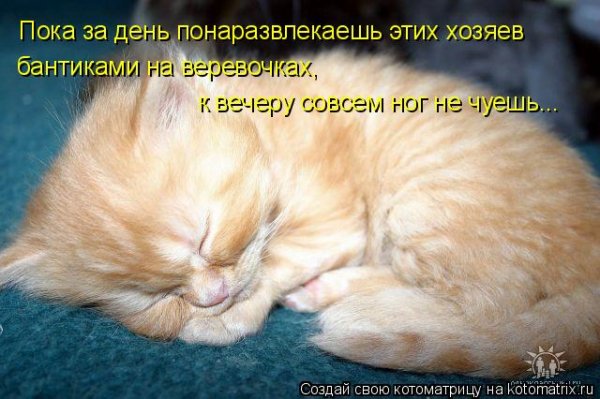 Ног не чуешь