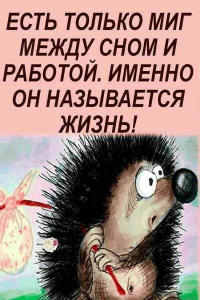 IMG 18690