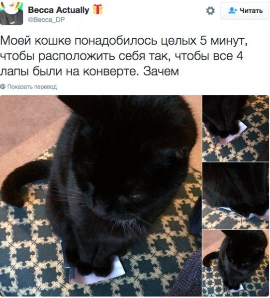 ))