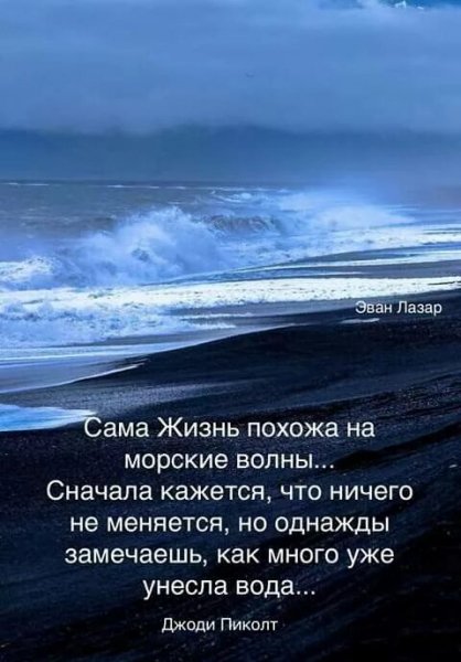 Джоди Пиколт