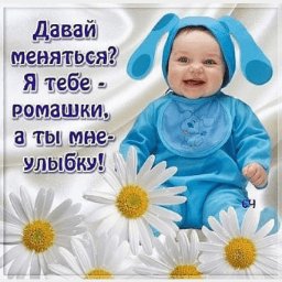 picture_165695786