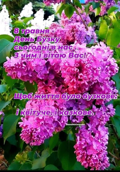 05-08