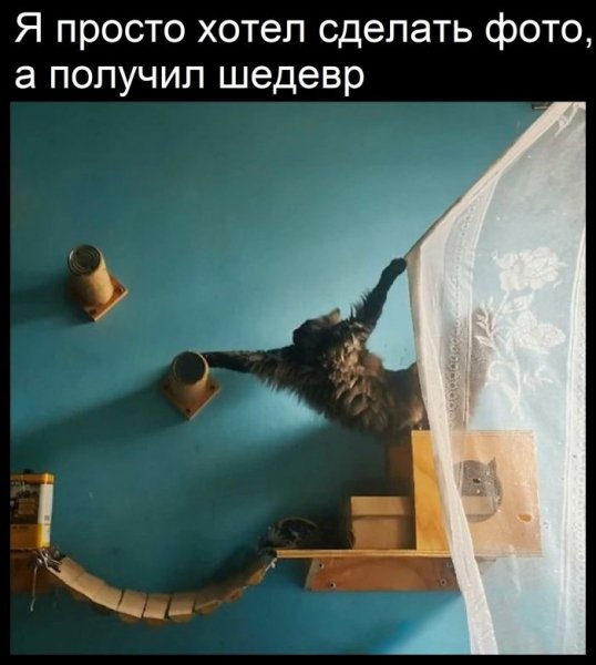 7b5e784406 000