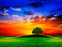 images (31)