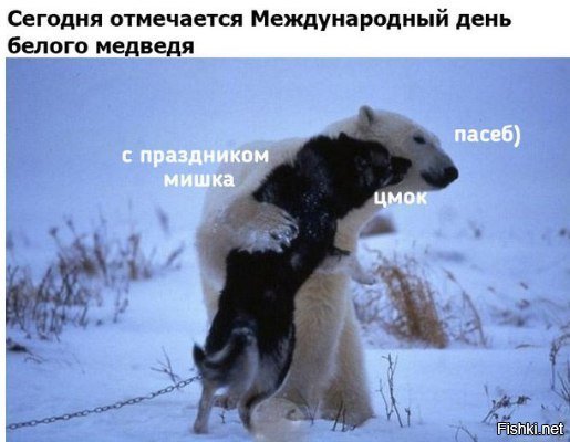 ))