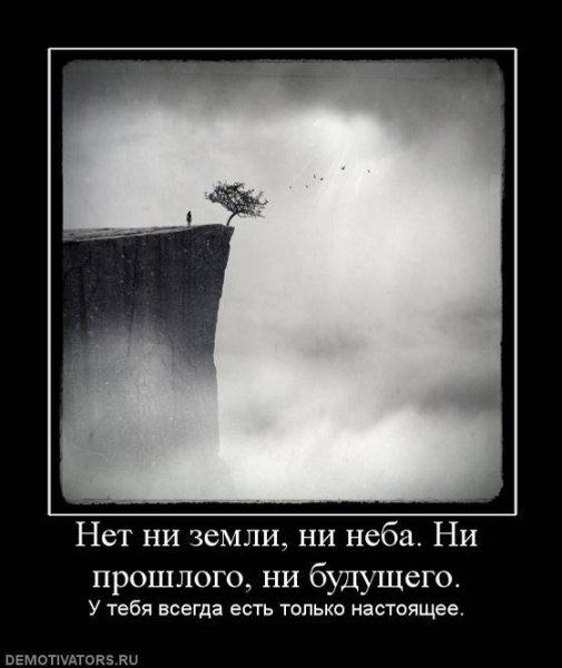 Demotivator (46)