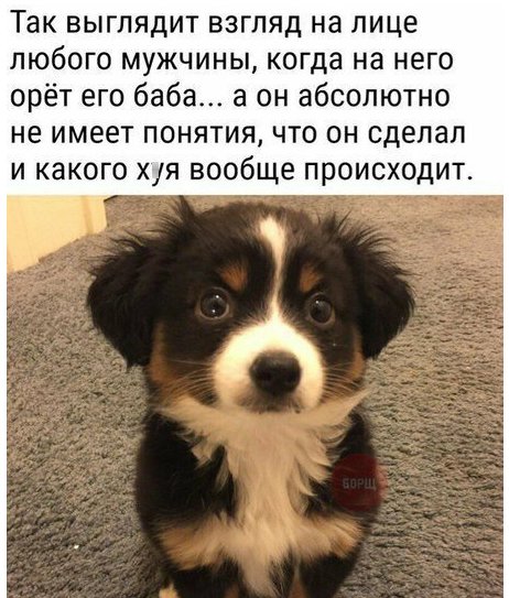 Скриншот 24-05-2020 061052