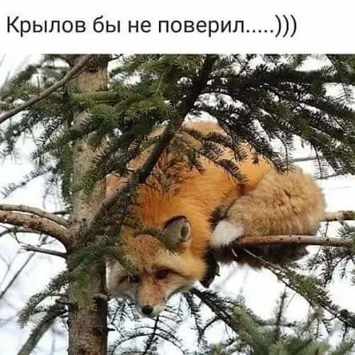 image (3) (7)