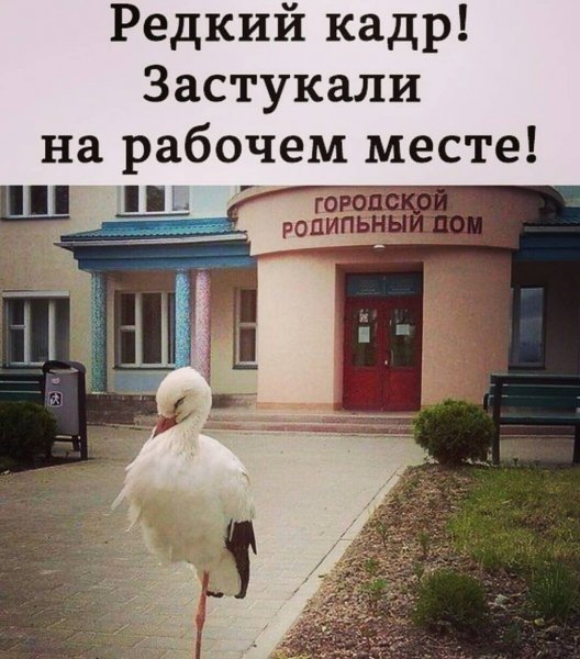image (3) (26)